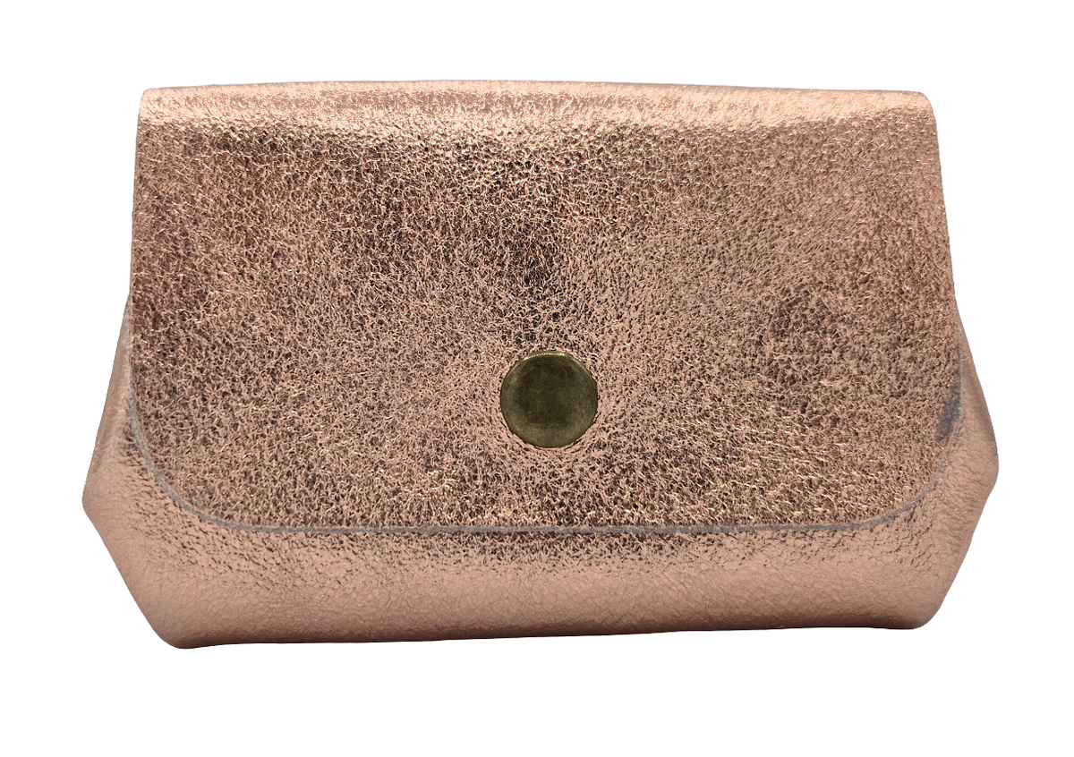 Etania Iridescent Leather Purse ~ Champagne 